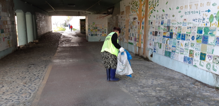 대교 하단 청소